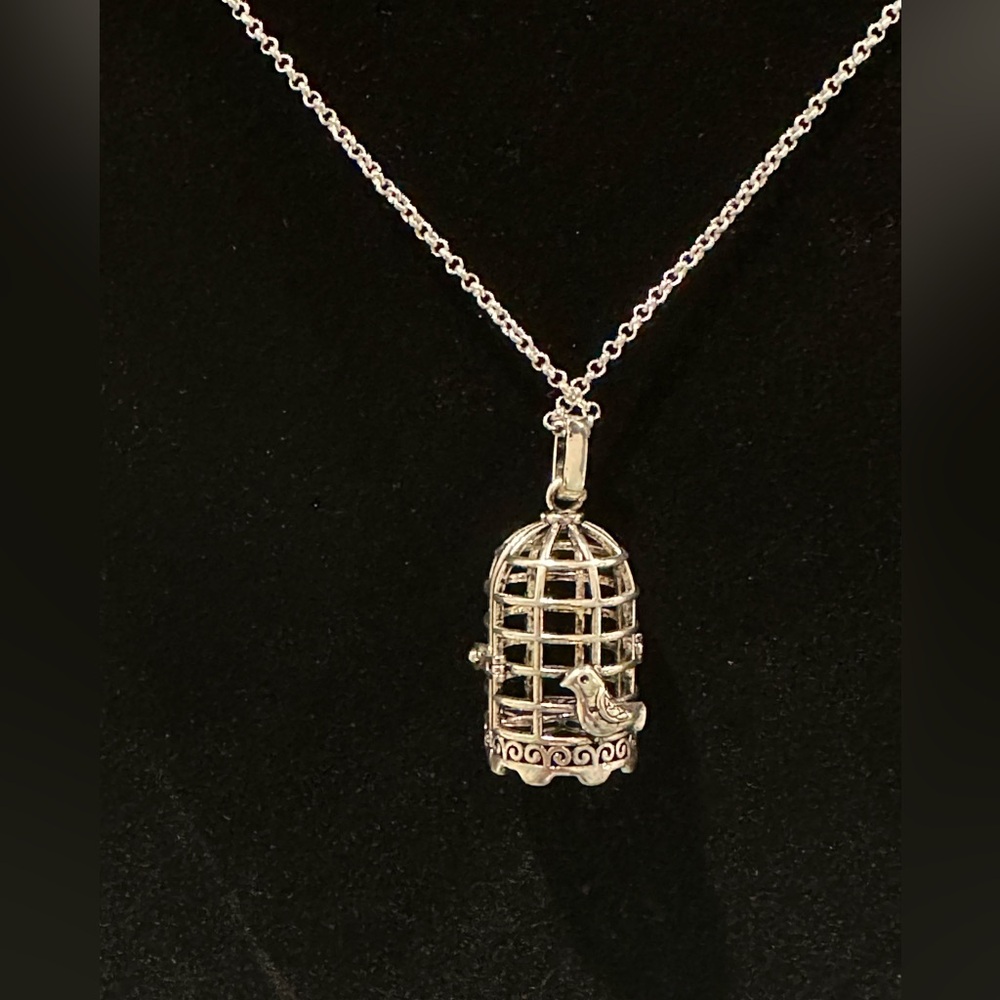 Bird cage locket and chain